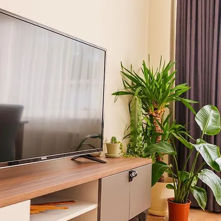 Besiktasin Kalbinde 2+1 Jakuzili Appartement *
